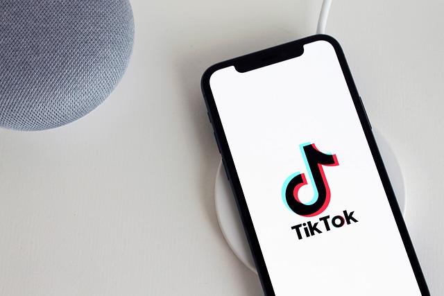 How to Download Videos from D2TikTok.com