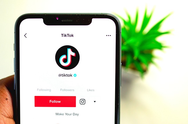 Top Features of D2TikTok.com: The Best TikTok Video Downloader
